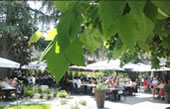 La terrasse du restaurant Toane à Grézieu la Varenne